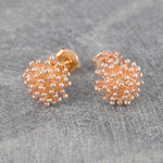 Dandelion Rose Gold Stud Earrings - Otis Jaxon Silver Jewellery
