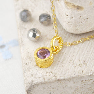 Amethyst February Birthstone Gold plated Silver Pendant Necklace